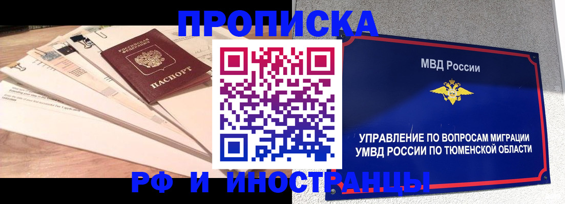 временная регистрация поиск в Курчалом